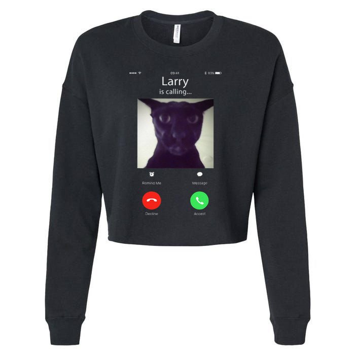 Evil Larry Cat Funny Cat Meme Lover .Png Cropped Pullover Crew