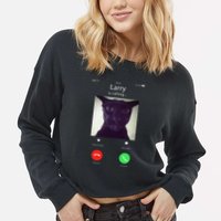 Evil Larry Cat Funny Cat Meme Lover .Png Cropped Pullover Crew
