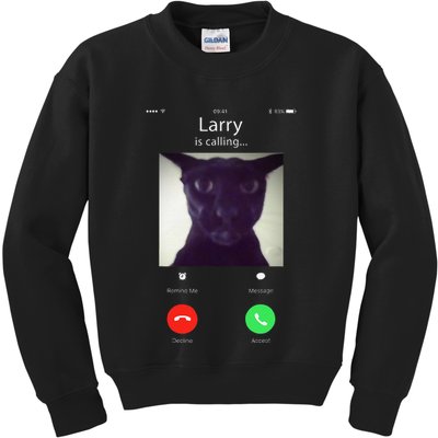 Evil Larry Cat Funny Cat Meme Lover .Png Kids Sweatshirt