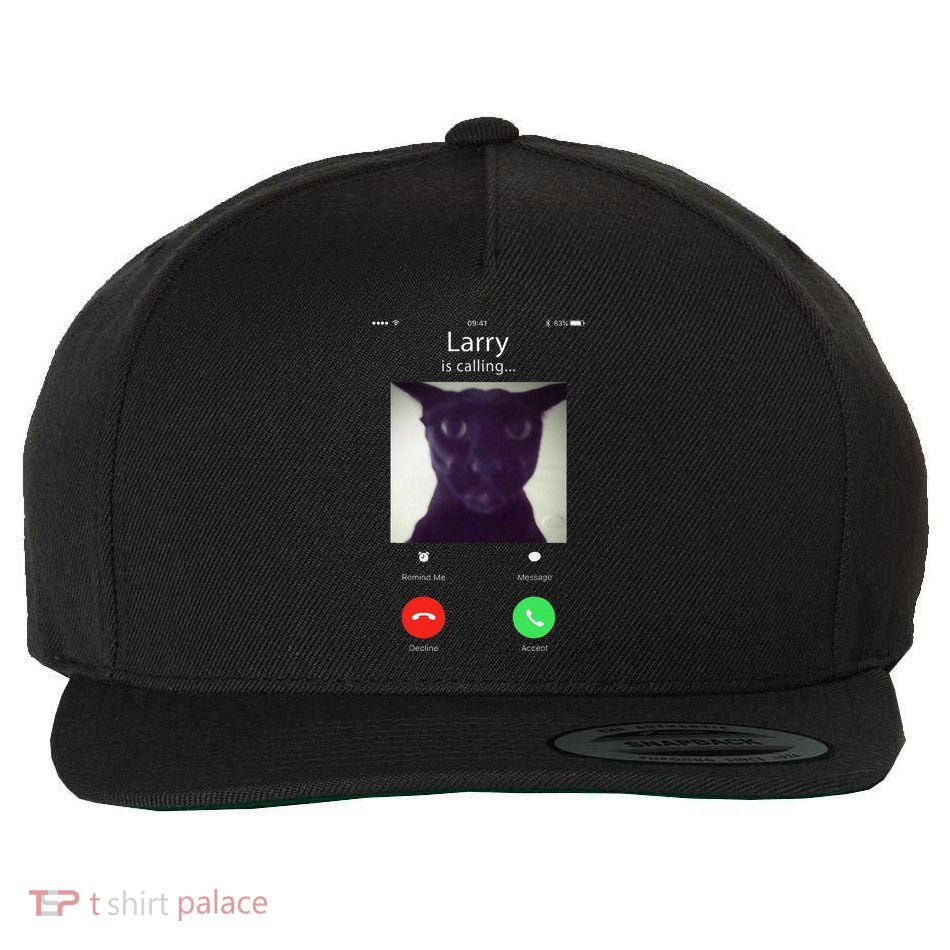 Evil Larry Cat Funny Cat Meme Lover .Png Wool Snapback Cap