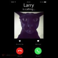 Evil Larry Cat Funny Cat Meme Lover .Png Wool Snapback Cap