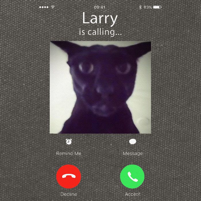 Evil Larry Cat Funny Cat Meme Lover .Png Cotton Canvas Backpack