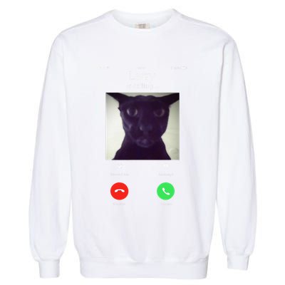 Evil Larry Cat Funny Cat Meme Lover .Png Garment-Dyed Sweatshirt