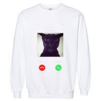Evil Larry Cat Funny Cat Meme Lover .Png Garment-Dyed Sweatshirt