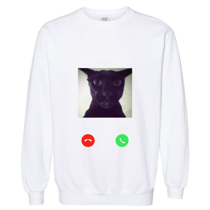 Evil Larry Cat Funny Cat Meme Lover .Png Garment-Dyed Sweatshirt