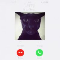 Evil Larry Cat Funny Cat Meme Lover .Png Garment-Dyed Sweatshirt
