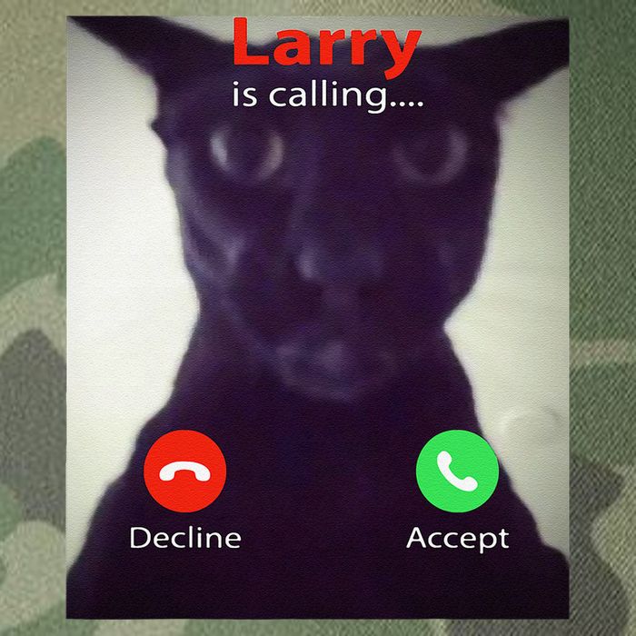 Evil Larry Cat Funny Cat Meme Lover .Png Legacy Tie Dye Trucker Hat