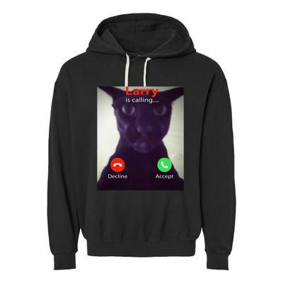 Evil Larry Cat Funny Cat Meme Lover .Png Garment-Dyed Fleece Hoodie