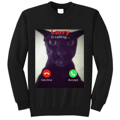 Evil Larry Cat Funny Cat Meme Lover .Png Sweatshirt