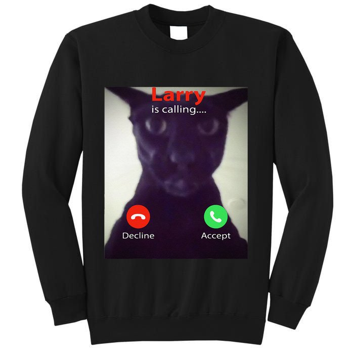 Evil Larry Cat Funny Cat Meme Lover .Png Sweatshirt