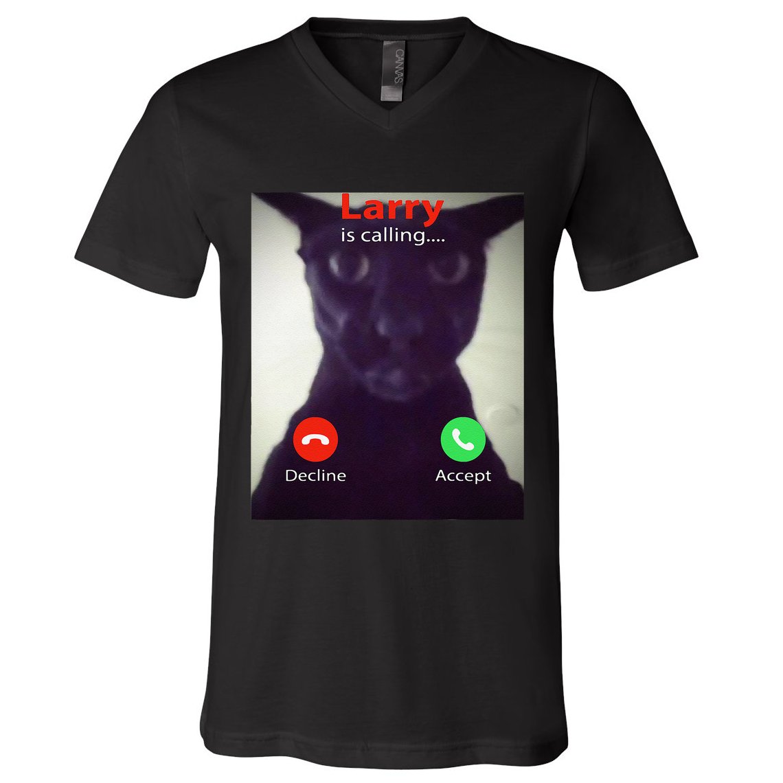 Evil Larry Cat Funny Cat Meme Lover .Png V-Neck T-Shirt