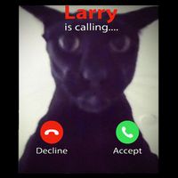 Evil Larry Cat Funny Cat Meme Lover .Png Impact Tech Backpack
