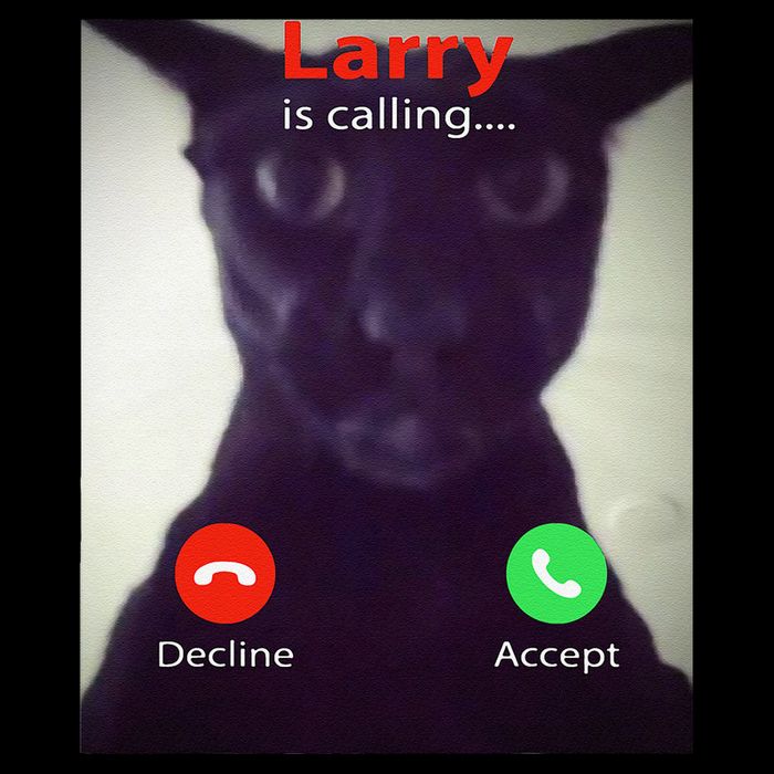 Evil Larry Cat Funny Cat Meme Lover .Png Impact Tech Backpack