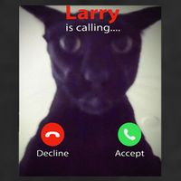 Evil Larry Cat Funny Cat Meme Lover .Png Adult Drive Performance Visor