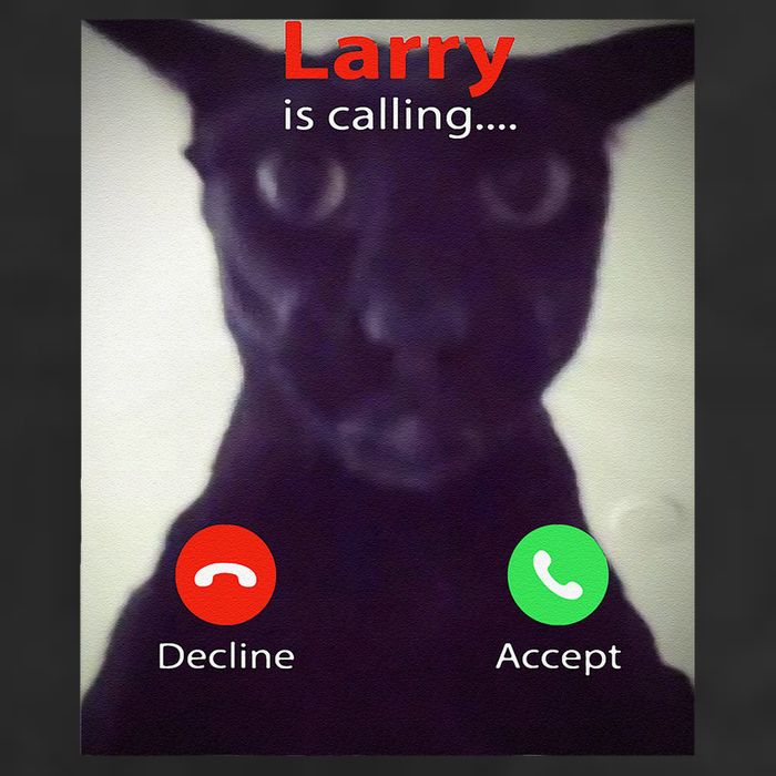 Evil Larry Cat Funny Cat Meme Lover .Png Adult Drive Performance Visor