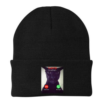 Evil Larry Cat Funny Cat Meme Lover .Png Beanie