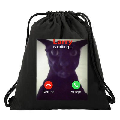 Evil Larry Cat Funny Cat Meme Lover .Png Drawstring Bag