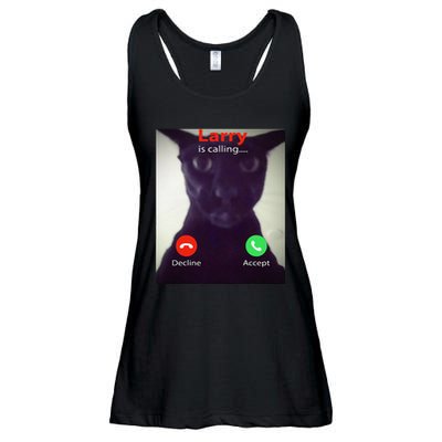 Evil Larry Cat Funny Cat Meme Lover .Png Ladies Essential Flowy Tank