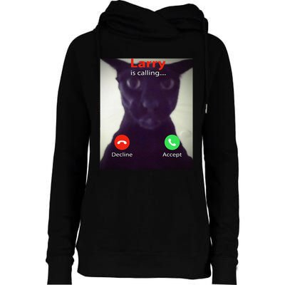 Evil Larry Cat Funny Cat Meme Lover .Png Womens Funnel Neck Pullover Hood