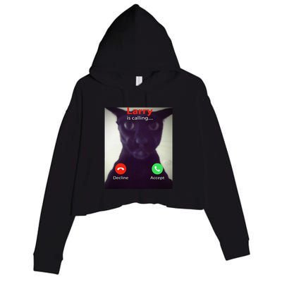 Evil Larry Cat Funny Cat Meme Lover .Png Crop Fleece Hoodie