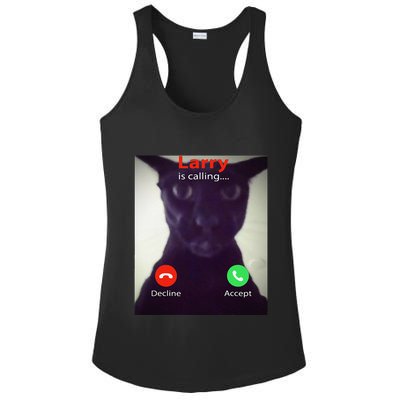 Evil Larry Cat Funny Cat Meme Lover .Png Ladies PosiCharge Competitor Racerback Tank