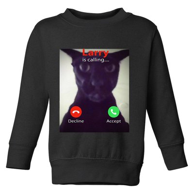 Evil Larry Cat Funny Cat Meme Lover .Png Toddler Sweatshirt