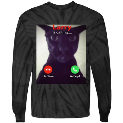 Evil Larry Cat Funny Cat Meme Lover .Png Tie-Dye Long Sleeve Shirt