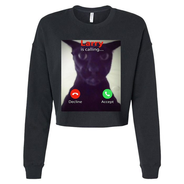 Evil Larry Cat Funny Cat Meme Lover .Png Cropped Pullover Crew