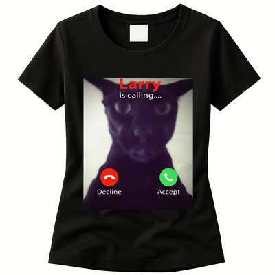 Evil Larry Cat Funny Cat Meme Lover .Png Womens T-Shirt