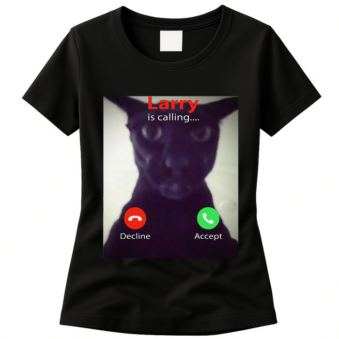 Evil Larry Cat Funny Cat Meme Lover .Png Womens T-Shirt