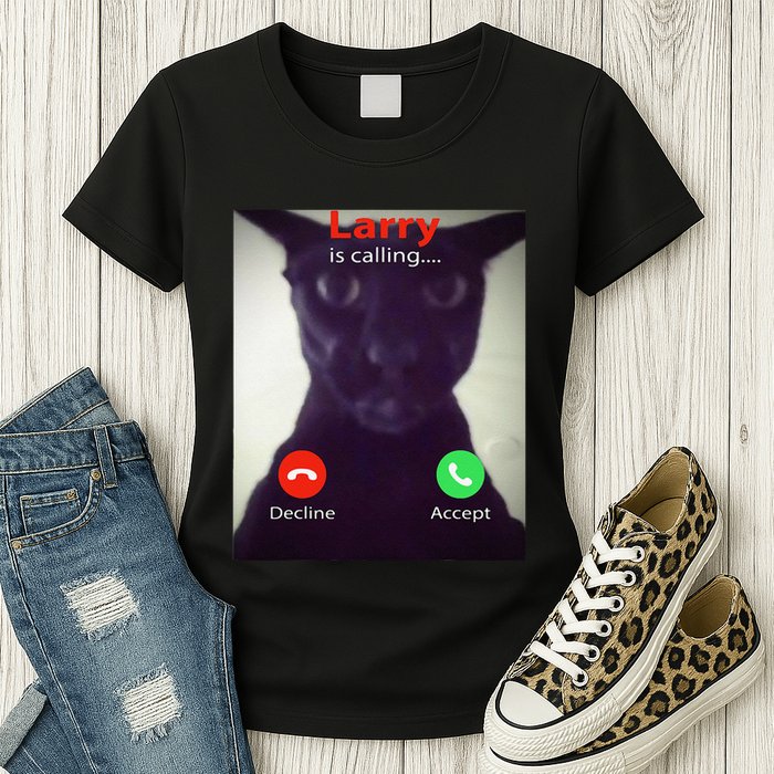 Evil Larry Cat Funny Cat Meme Lover .Png Womens T-Shirt