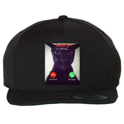 Evil Larry Cat Funny Cat Meme Lover .Png Wool Snapback Cap