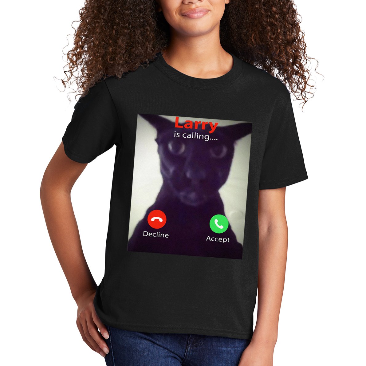 Evil Larry Cat Funny Cat Meme Lover .Png Kids T-Shirt