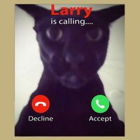 Evil Larry Cat Funny Cat Meme Lover .Png T-Shirt