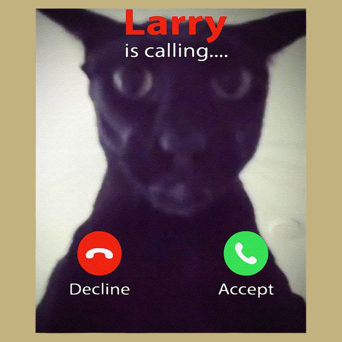 Evil Larry Cat Funny Cat Meme Lover .Png T-Shirt