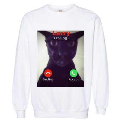 Evil Larry Cat Funny Cat Meme Lover .Png Garment-Dyed Sweatshirt