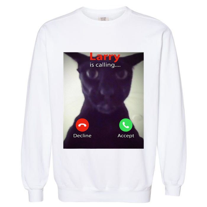 Evil Larry Cat Funny Cat Meme Lover .Png Garment-Dyed Sweatshirt