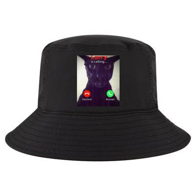 Evil Larry Cat Meme Cat Lover Cat Mom Cat Dad S Cool Comfort Performance Bucket Hat