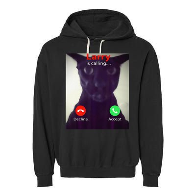 Evil Larry Cat Meme Cat Lover Cat Mom Cat Dad S Garment-Dyed Fleece Hoodie