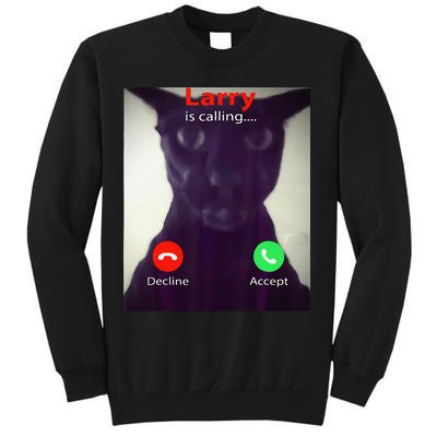 Evil Larry Cat Meme Cat Lover Cat Mom Cat Dad S Sweatshirt