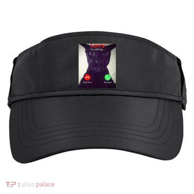 Evil Larry Cat Meme Cat Lover Cat Mom Cat Dad S Adult Drive Performance Visor