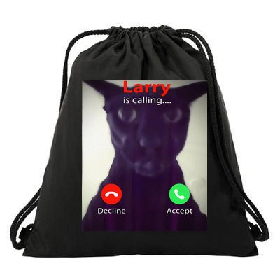 Evil Larry Cat Meme Cat Lover Cat Mom Cat Dad S Drawstring Bag
