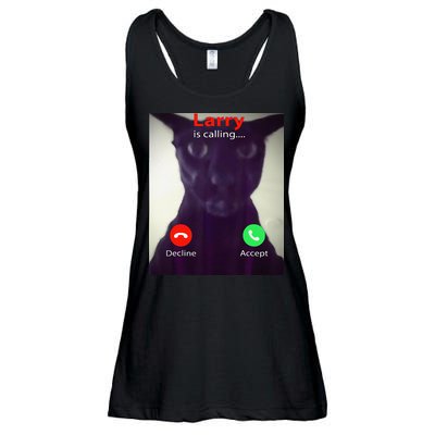 Evil Larry Cat Meme Cat Lover Cat Mom Cat Dad S Ladies Essential Flowy Tank