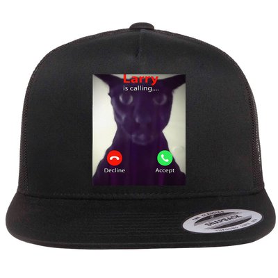 Evil Larry Cat Meme Cat Lover Cat Mom Cat Dad S Flatbill Hat