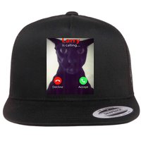 Evil Larry Cat Meme Cat Lover Cat Mom Cat Dad S Flat Bill Trucker Hat