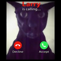 Evil Larry Cat Meme Cat Lover Cat Mom Cat Dad S 16 in Basic Backpack