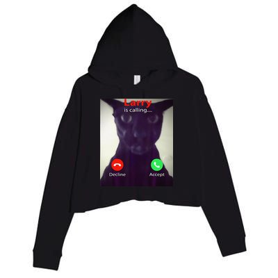 Evil Larry Cat Meme Cat Lover Cat Mom Cat Dad S Crop Fleece Hoodie