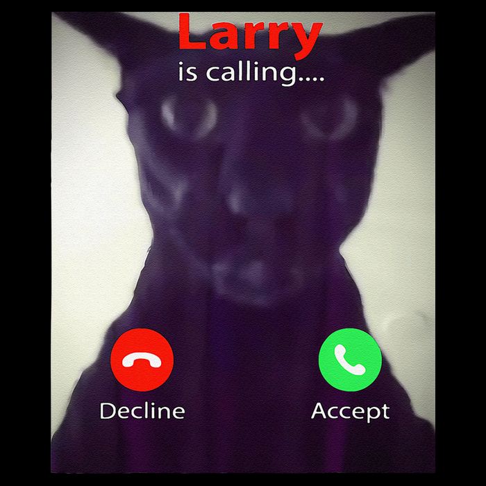 Evil Larry Cat Meme Cat Lover Cat Mom Cat Dad S Bag