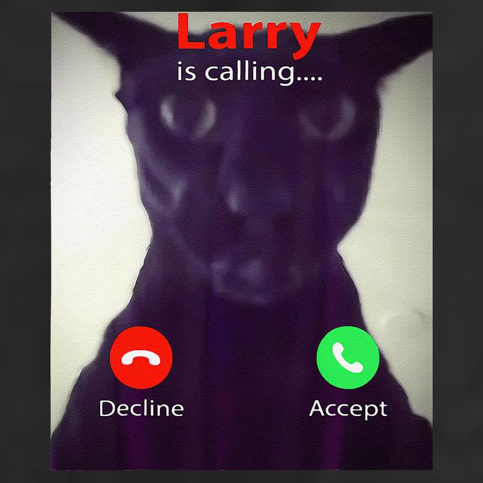Evil Larry Cat Meme Cat Lover Cat Mom Cat Dad S Tumbler