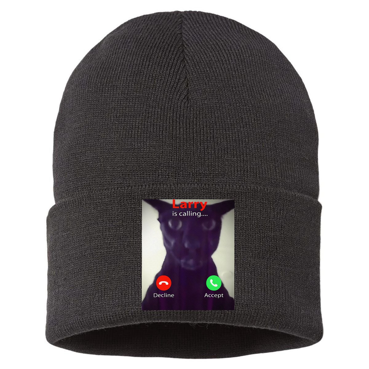 Evil Larry Cat Meme Cat Lover Cat Mom Cat Dad S Sustainable Knit Beanie